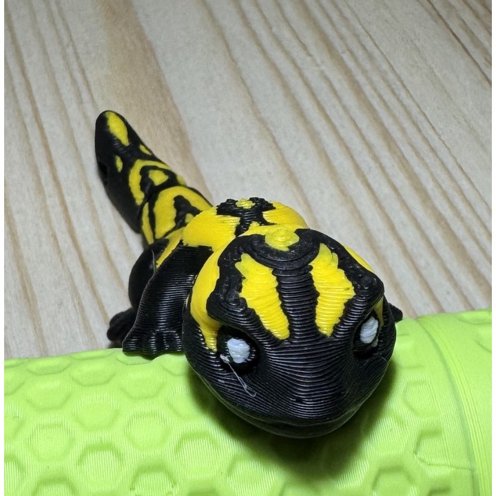 Portachiavi Salamandra – Black & Yellow Edition