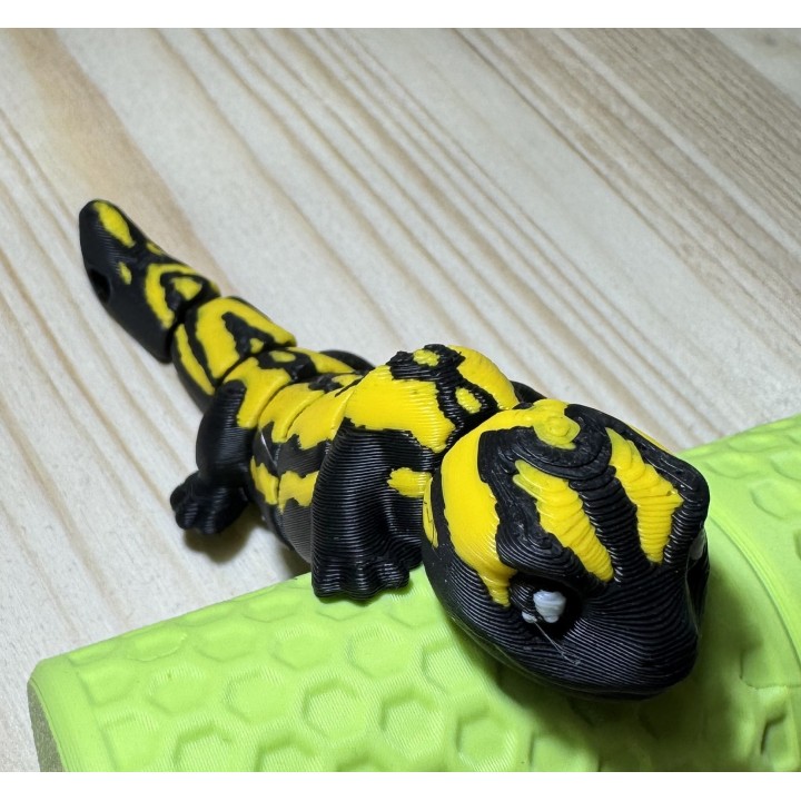 Portachiavi Salamandra – Black & Yellow Edition